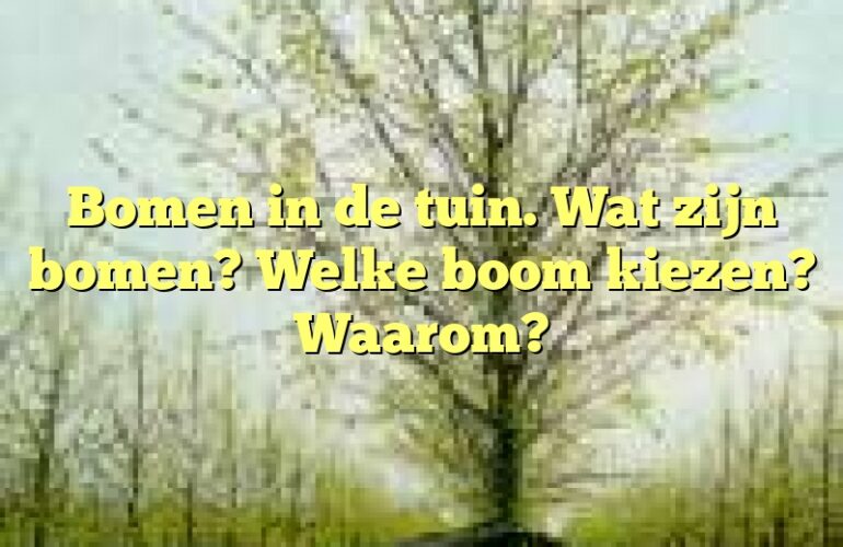 Bomen in de tuin. Wat zijn bomen? Welke boom kiezen? Waarom?