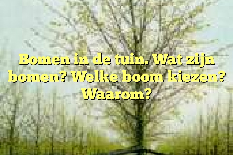 Bomen in de tuin. Wat zijn bomen? Welke boom kiezen? Waarom?