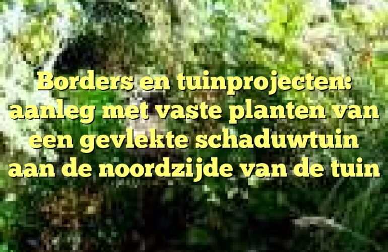 Borders en tuinprojecten: aanleg met vaste planten van een gevlekte schaduwtuin aan de noordzijde van de tuin