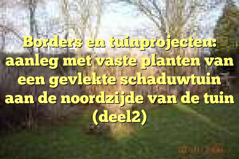 Borders en tuinprojecten: aanleg met vaste planten van een gevlekte schaduwtuin aan de noordzijde van de tuin (deel2)