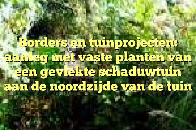 Borders en tuinprojecten: aanleg met vaste planten van een gevlekte schaduwtuin aan de noordzijde van de tuin