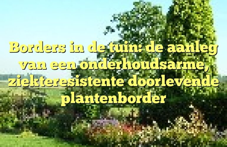 Borders in de tuin: de aanleg van een onderhoudsarme, ziekteresistente doorlevende plantenborder