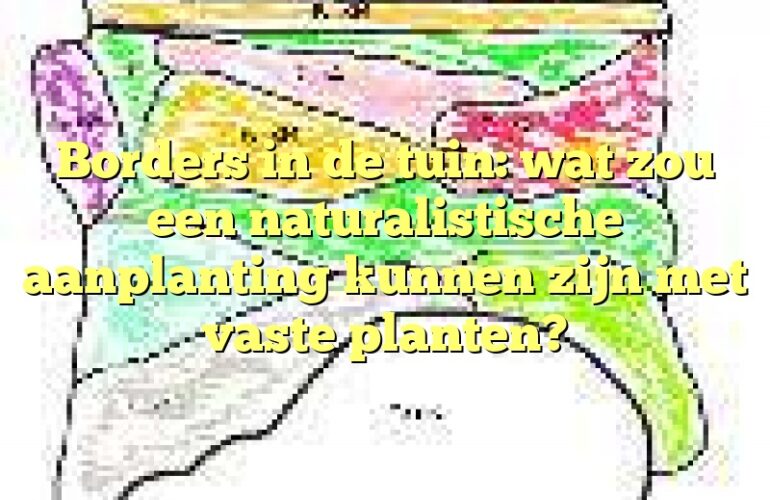 Borders in de tuin: wat zou een naturalistische aanplanting kunnen zijn met vaste planten?