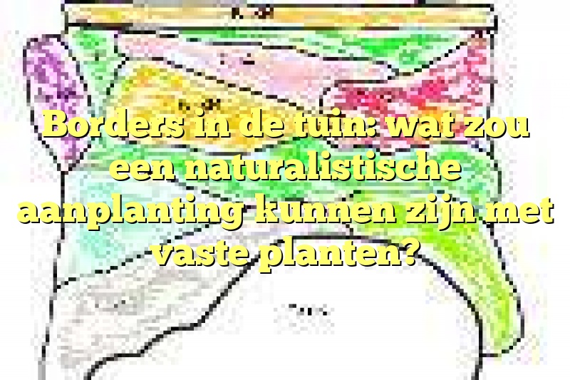 Borders in de tuin: wat zou een naturalistische aanplanting kunnen zijn met vaste planten?