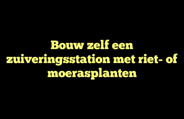 Bouw zelf een zuiveringsstation met riet- of moerasplanten