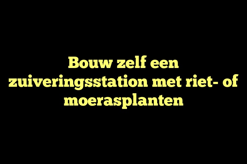 Bouw zelf een zuiveringsstation met riet- of moerasplanten