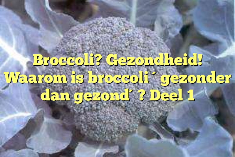 Broccoli? Gezondheid! Waarom is broccoli ´gezonder dan gezond´? Deel 1