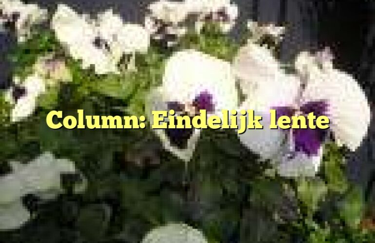 Column: Eindelijk lente