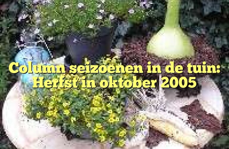 Column seizoenen in de tuin: Herfst in oktober 2005