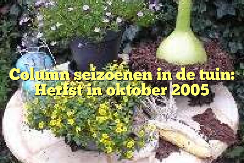 Column seizoenen in de tuin: Herfst in oktober 2005