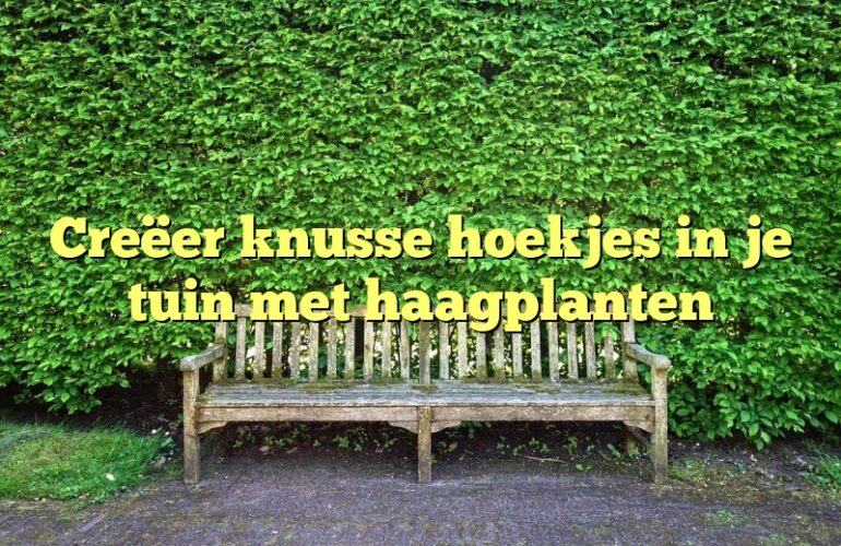 Creëer knusse hoekjes in je tuin met haagplanten