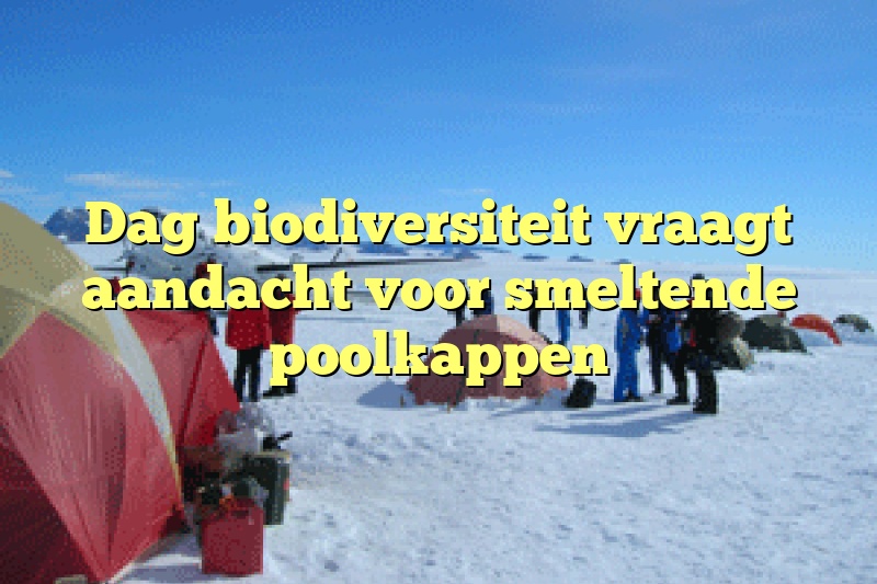 Dag biodiversiteit vraagt aandacht voor smeltende poolkappen