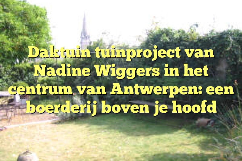 Daktuin tuinproject van Nadine Wiggers in het centrum van Antwerpen: een boerderij boven je hoofd