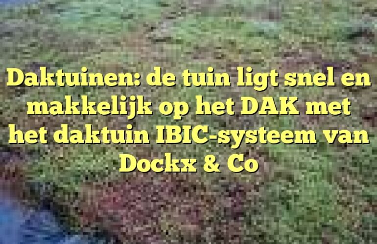 Daktuinen: de tuin ligt snel en makkelijk op het DAK met het daktuin IBIC-systeem van Dockx & Co