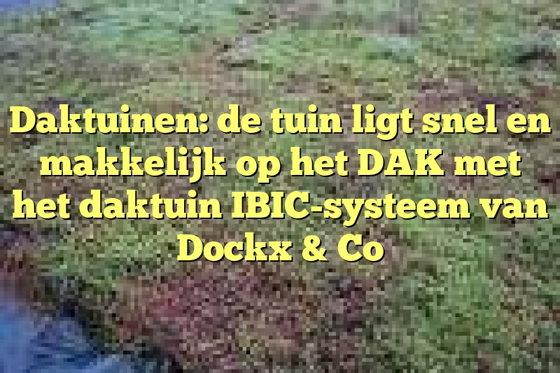 Daktuinen: de tuin ligt snel en makkelijk op het DAK met het daktuin IBIC-systeem van Dockx & Co