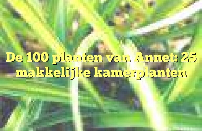 De 100 planten van Annet: 25 makkelijke kamerplanten