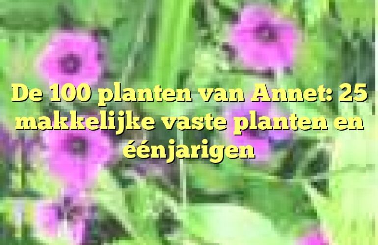 De 100 planten van Annet: 25 makkelijke vaste planten en éénjarigen