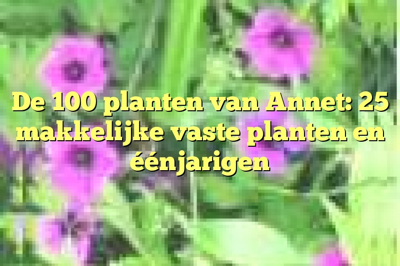 De 100 planten van Annet: 25 makkelijke vaste planten en éénjarigen