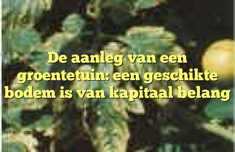 De aanleg van een groentetuin: een geschikte bodem is van kapitaal belang