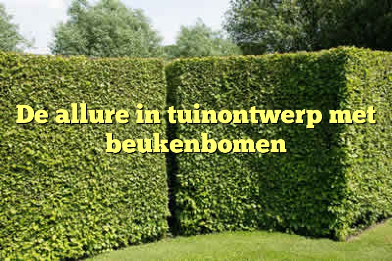 De allure in tuinontwerp met beukenbomen