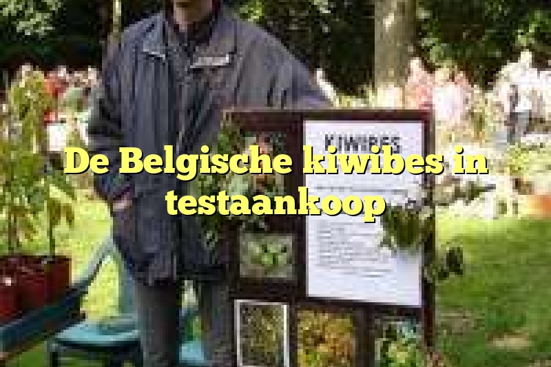 De Belgische kiwibes in testaankoop