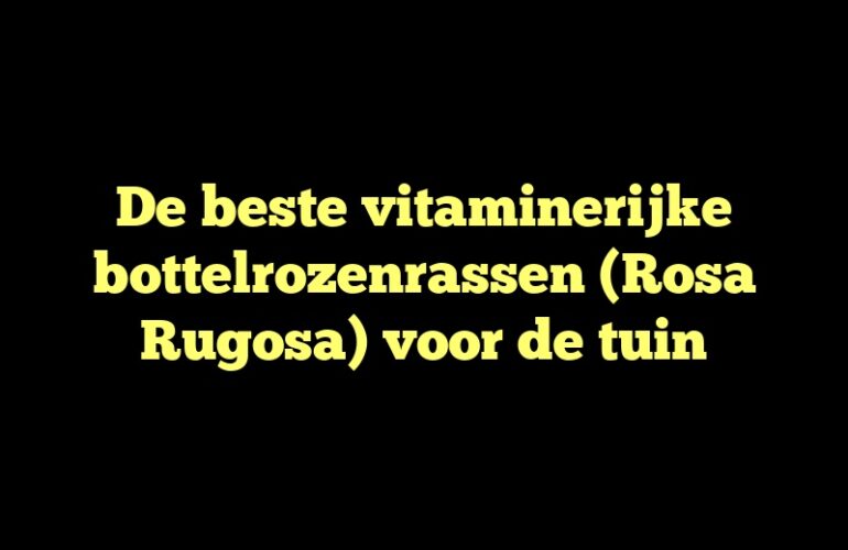 De beste vitaminerijke bottelrozenrassen (Rosa Rugosa) voor de tuin