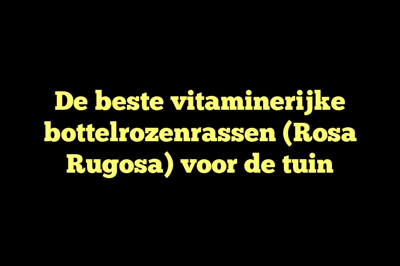 De beste vitaminerijke bottelrozenrassen (Rosa Rugosa) voor de tuin