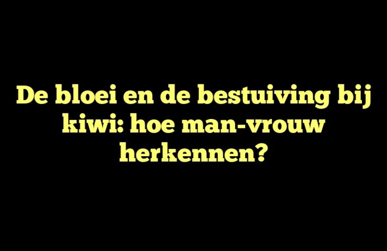 De bloei en de bestuiving bij kiwi: hoe man-vrouw herkennen?