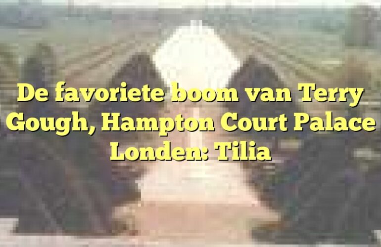 De favoriete boom van Terry Gough, Hampton Court Palace Londen: Tilia