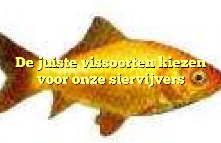 De juiste vissoorten kiezen voor onze siervijvers