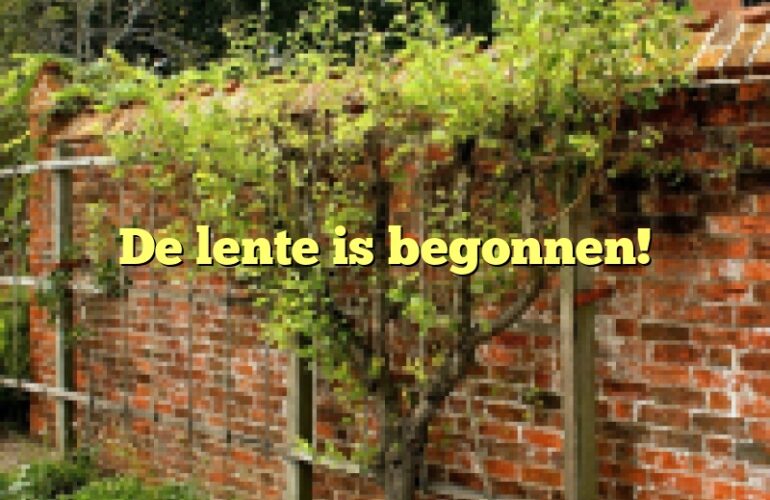 De lente is begonnen!