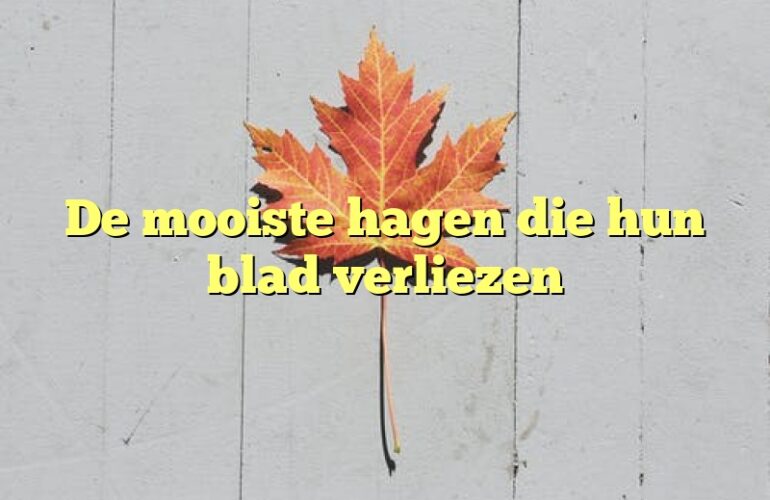 De mooiste hagen die hun blad verliezen