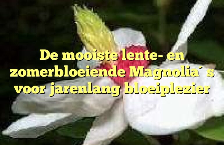 De mooiste lente- en zomerbloeiende Magnolia´s voor jarenlang bloeiplezier