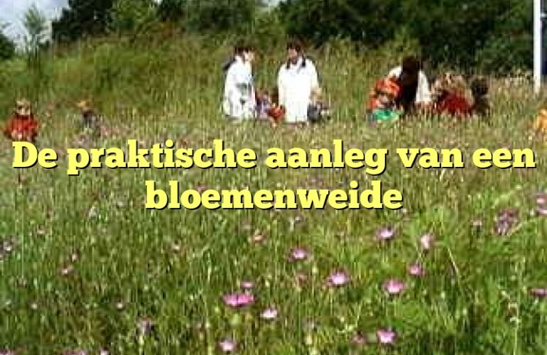 De praktische aanleg van een bloemenweide