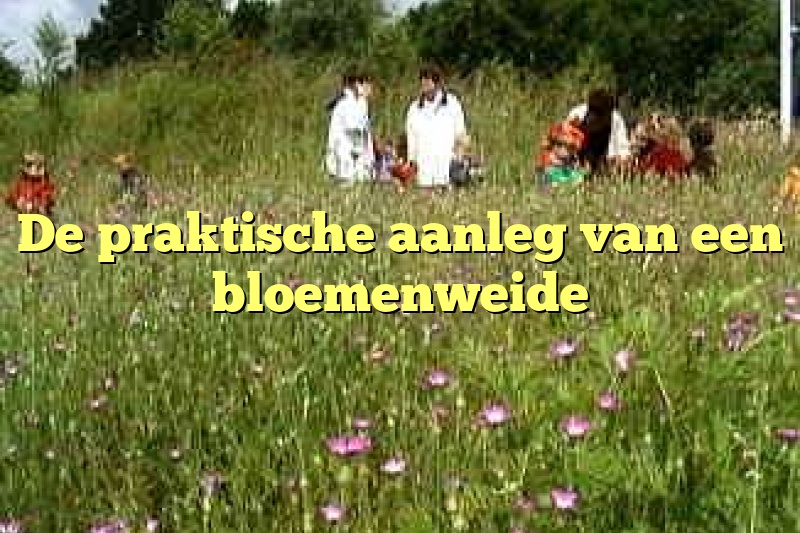 De praktische aanleg van een bloemenweide