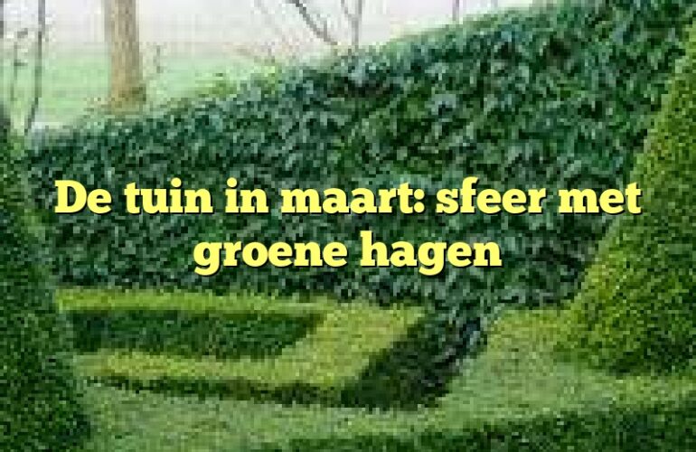 De tuin in maart: sfeer met groene hagen