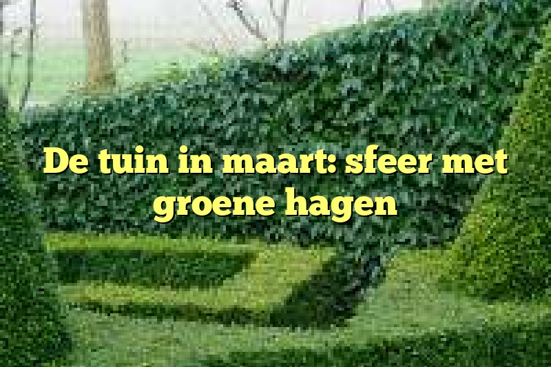 De tuin in maart: sfeer met groene hagen