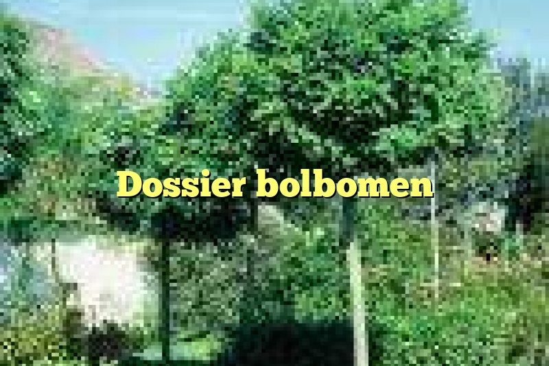 Dossier bolbomen