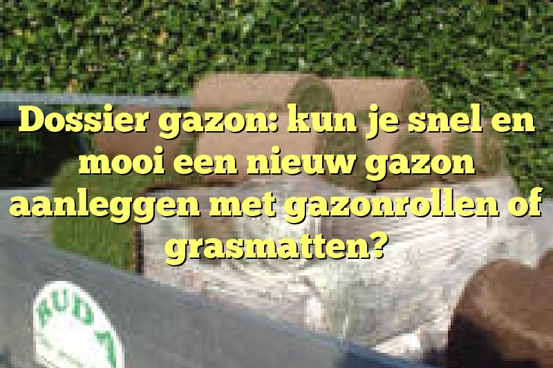 Dossier gazon: kun je snel en mooi een nieuw gazon aanleggen met gazonrollen of grasmatten?