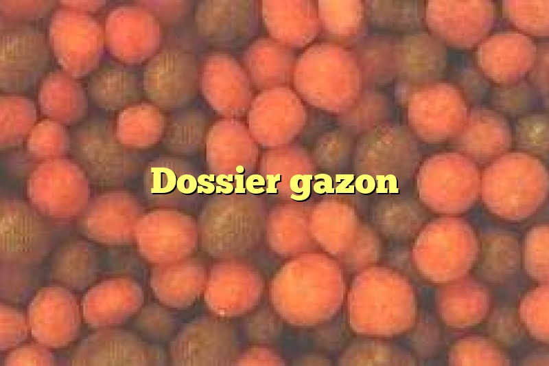 Dossier gazon