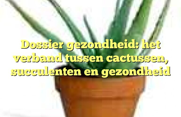 Dossier gezondheid: het verband tussen cactussen, succulenten en gezondheid