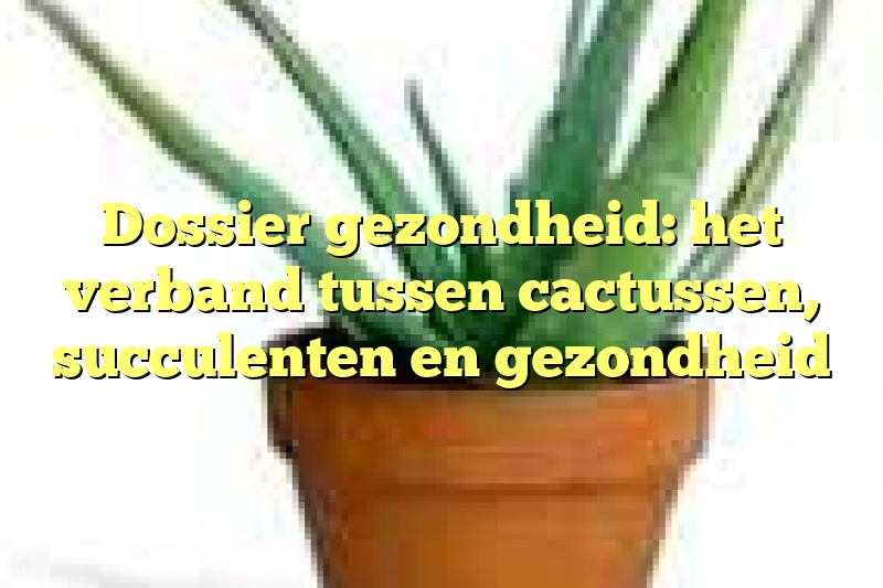 Dossier gezondheid: het verband tussen cactussen, succulenten en gezondheid