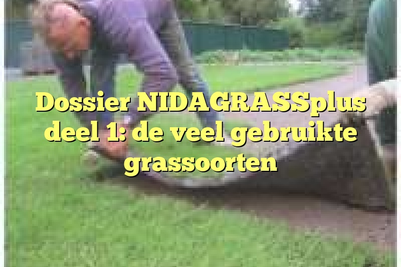 Dossier NIDAGRASSplus deel 1: de veel gebruikte grassoorten