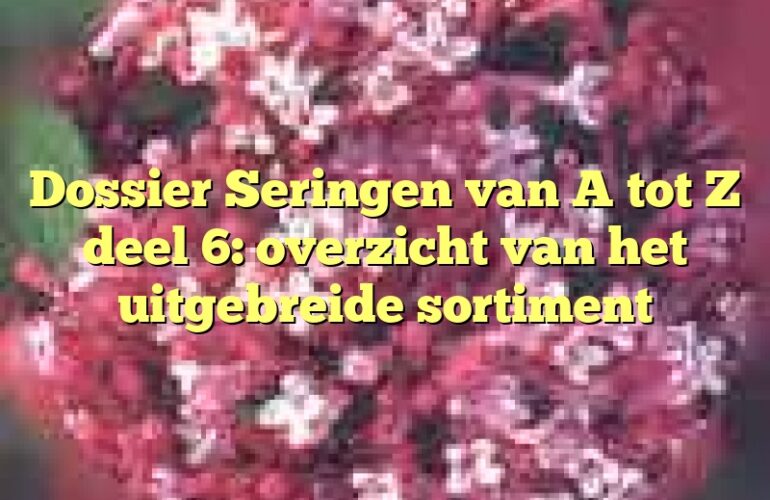 Dossier Seringen van A tot Z deel 6: overzicht van het uitgebreide sortiment