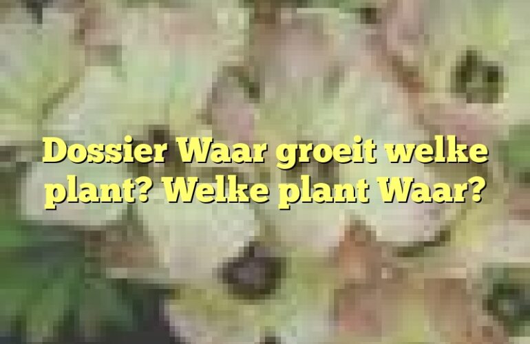 Dossier Waar groeit welke plant? Welke plant Waar?