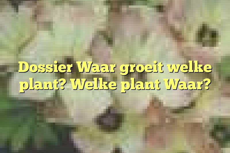 Dossier Waar groeit welke plant? Welke plant Waar?