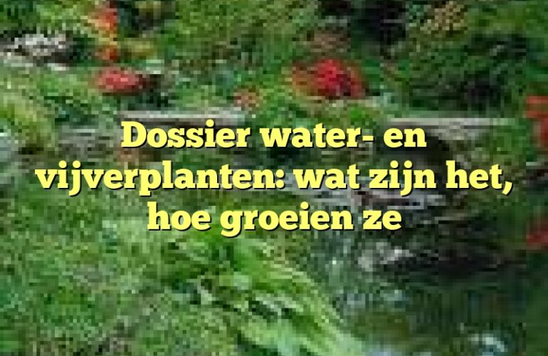 Dossier water- en vijverplanten: wat zijn het, hoe groeien ze