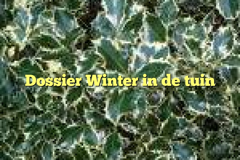 Dossier Winter in de tuin