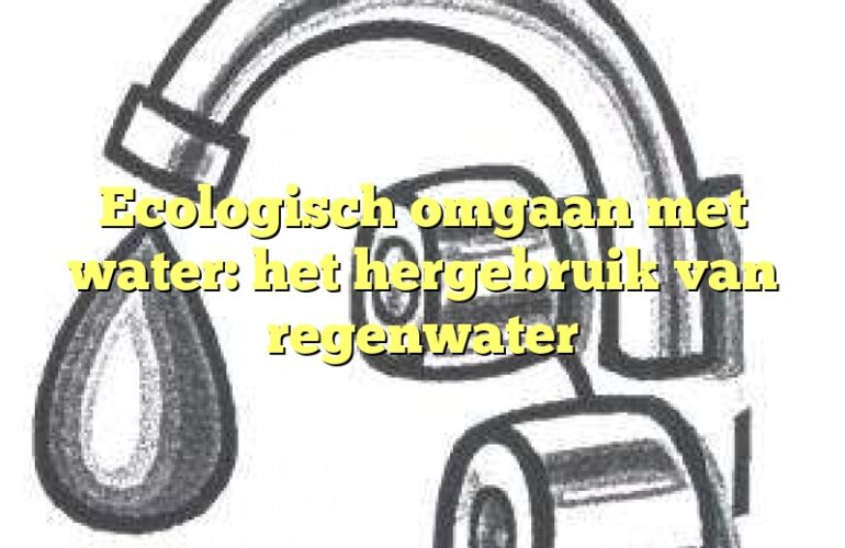 Ecologisch omgaan met water: het hergebruik van regenwater