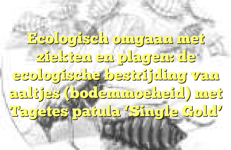 Ecologisch omgaan met ziekten en plagen: de ecologische bestrijding van aaltjes (bodemmoeheid) met Tagetes patula ‘Single Gold’